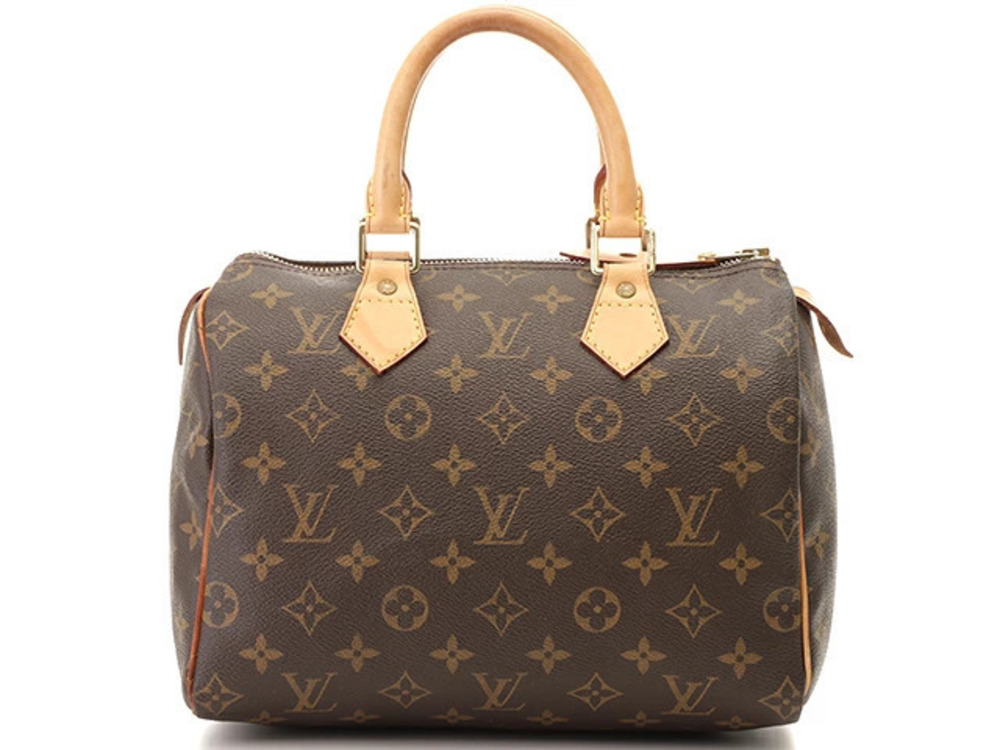 LOUIS VUITTON Speedy Monogram Handbag